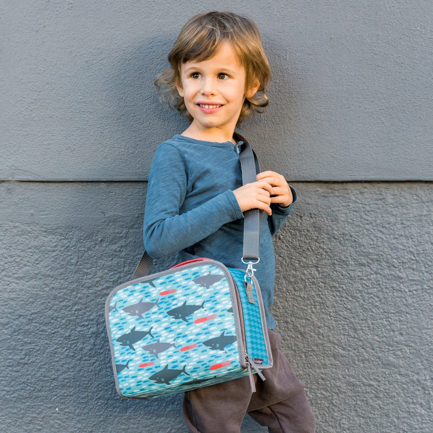 Sharks Eco Friendly Lunchbox